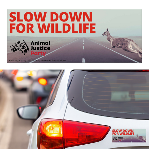 Bumper Sticker: Slow Down For Wildlife
