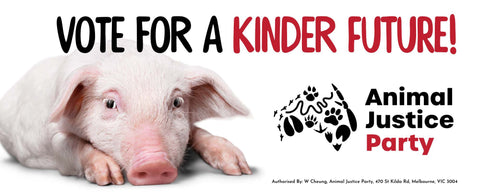 Bumper Sticker: Vote for a Kinder Future