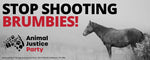 Bumper Sticker: Stop Shooting Brumbies!