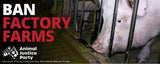 Bumper Sticker: Ban Factory Farms Pigs