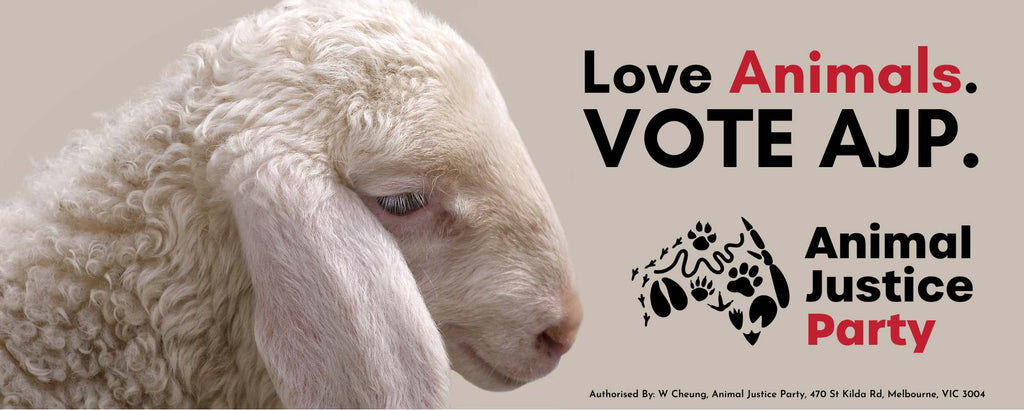 Bumper Sticker: Love Animals. Vote AJP