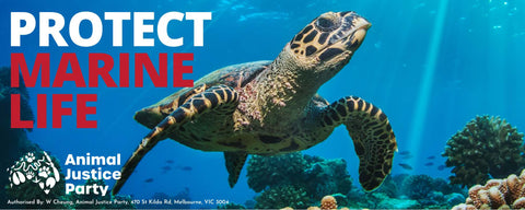 Bumper Sticker: Protect Marine Life