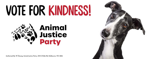 Bumper Sticker: Vote for Kindness! Greyhound