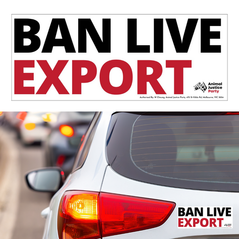 Bumper Sticker: BAN LIVE EXPORT