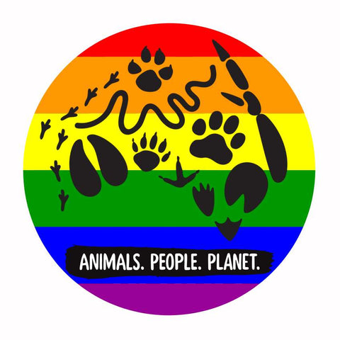 Bumper Sticker: Pride Solidarity