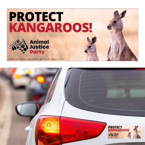 Bumper Sticker: Protect Kangaroos!