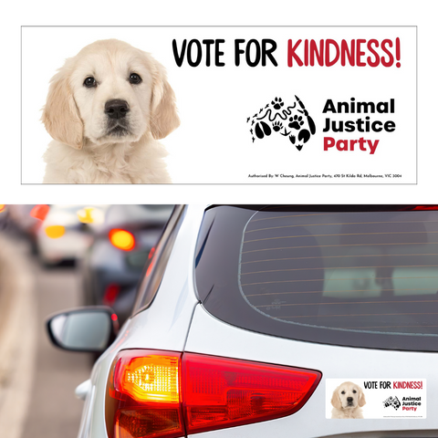 Bumper Sticker: Vote for Kindness! Puppy