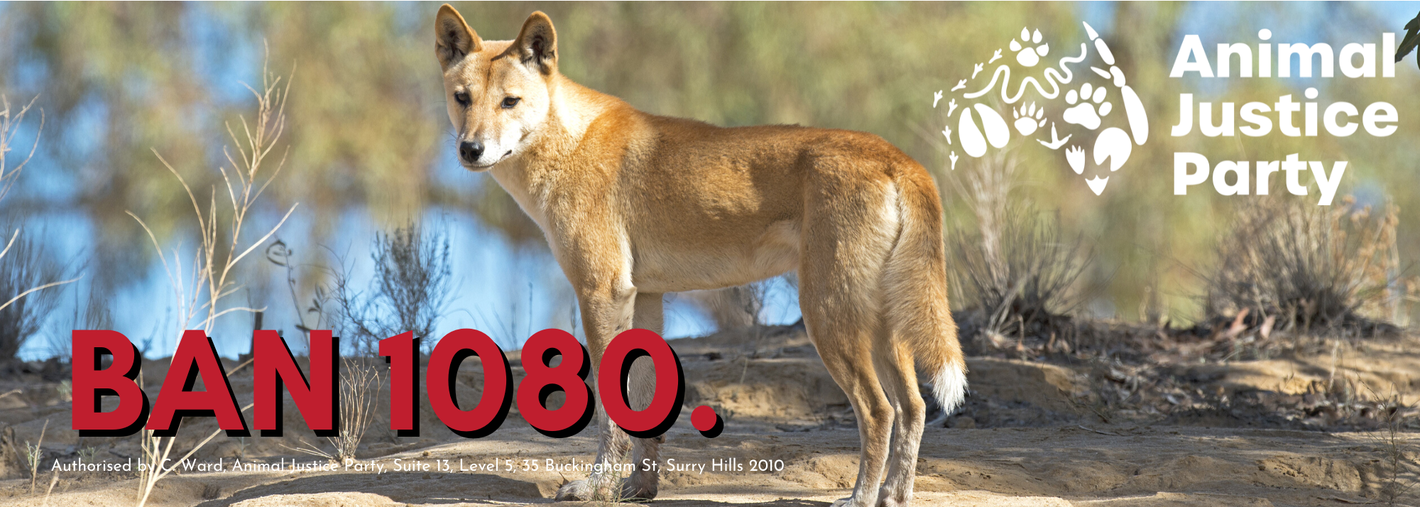 Ban 1080 Bumper Sticker