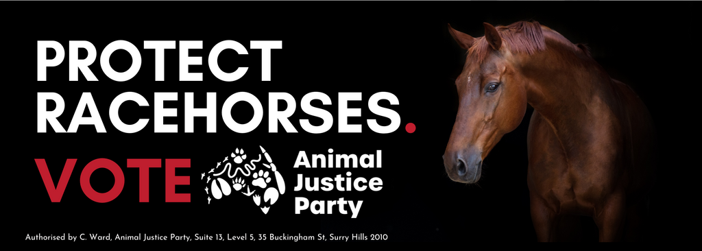 Protect Racehorses Bumper Sticker