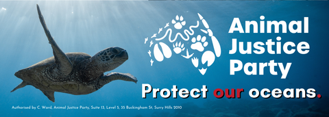 Protect Our Oceans Bumper Sticker