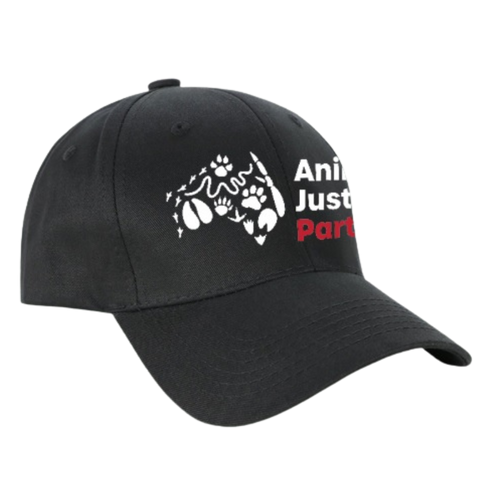 AJP Embroidered Cotton Cap